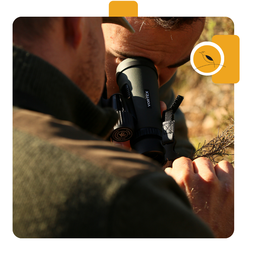 Honeyguide J25 10