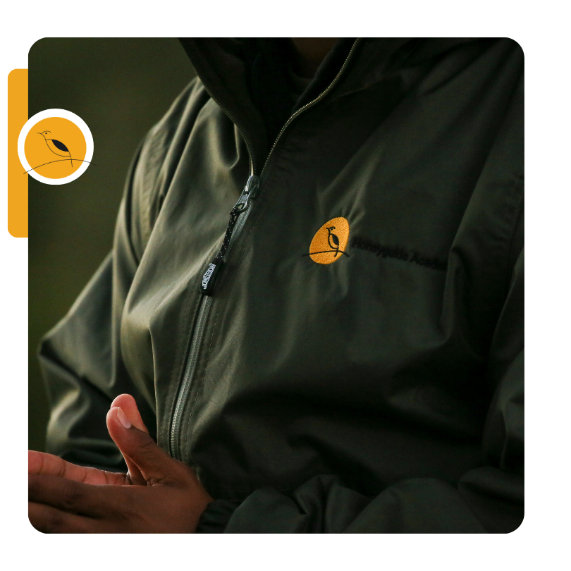 Honeyguide J25 4